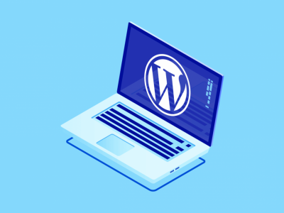 国内WordPress网站必备的性能优化插件