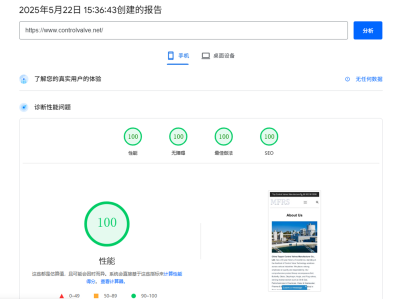 谷歌SEO优化指南: Lighthouse Web 性能核心指标 FCP、LCP、FID、CLS、TTFB